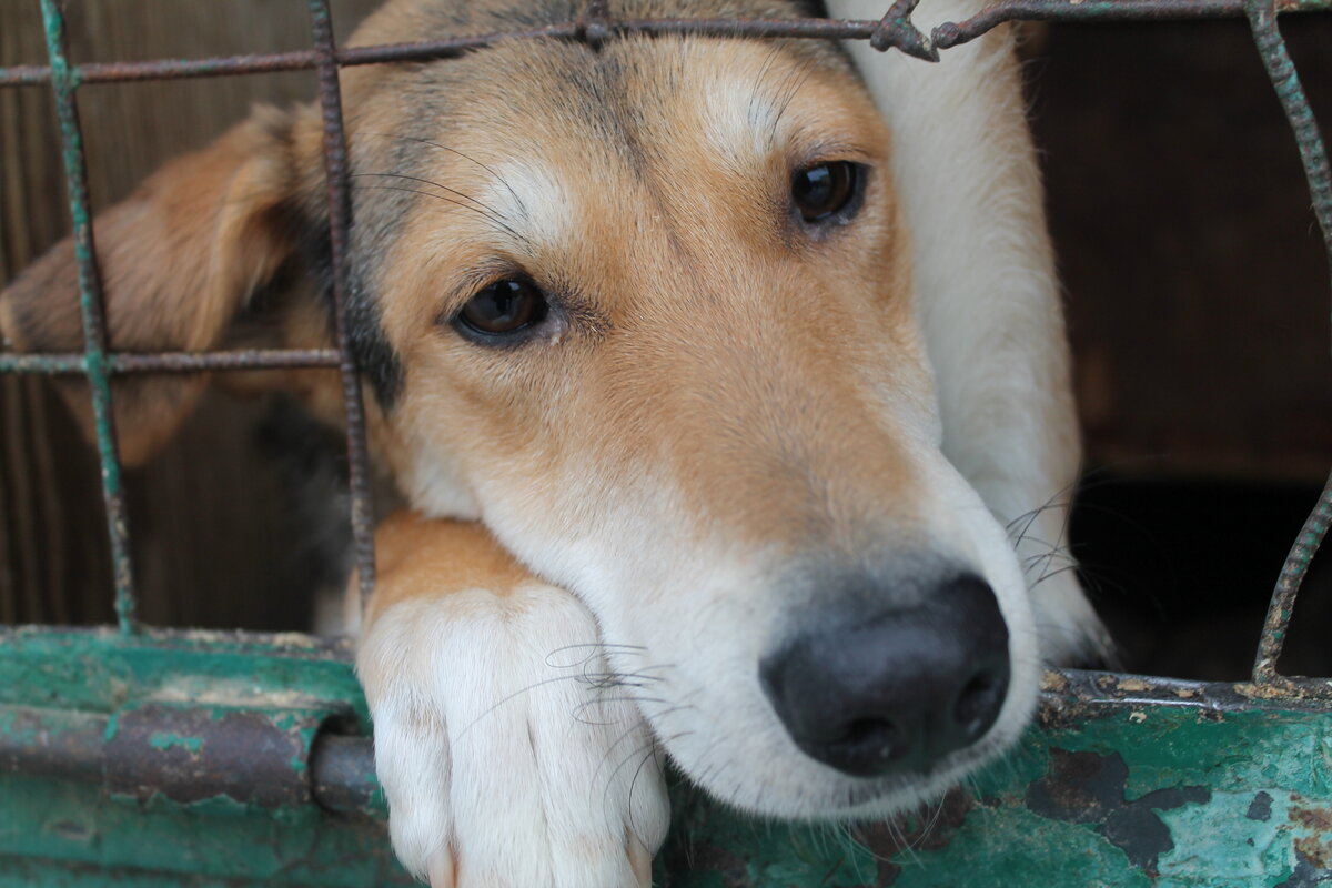 Фотографии предоставлены интернет-магазином Solntse