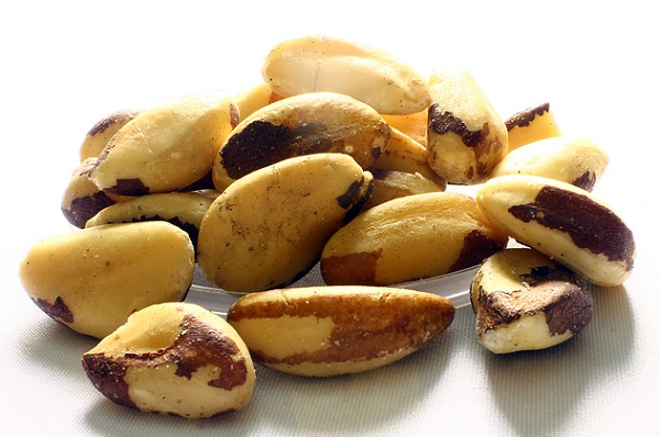 фото: https://pixabay.com