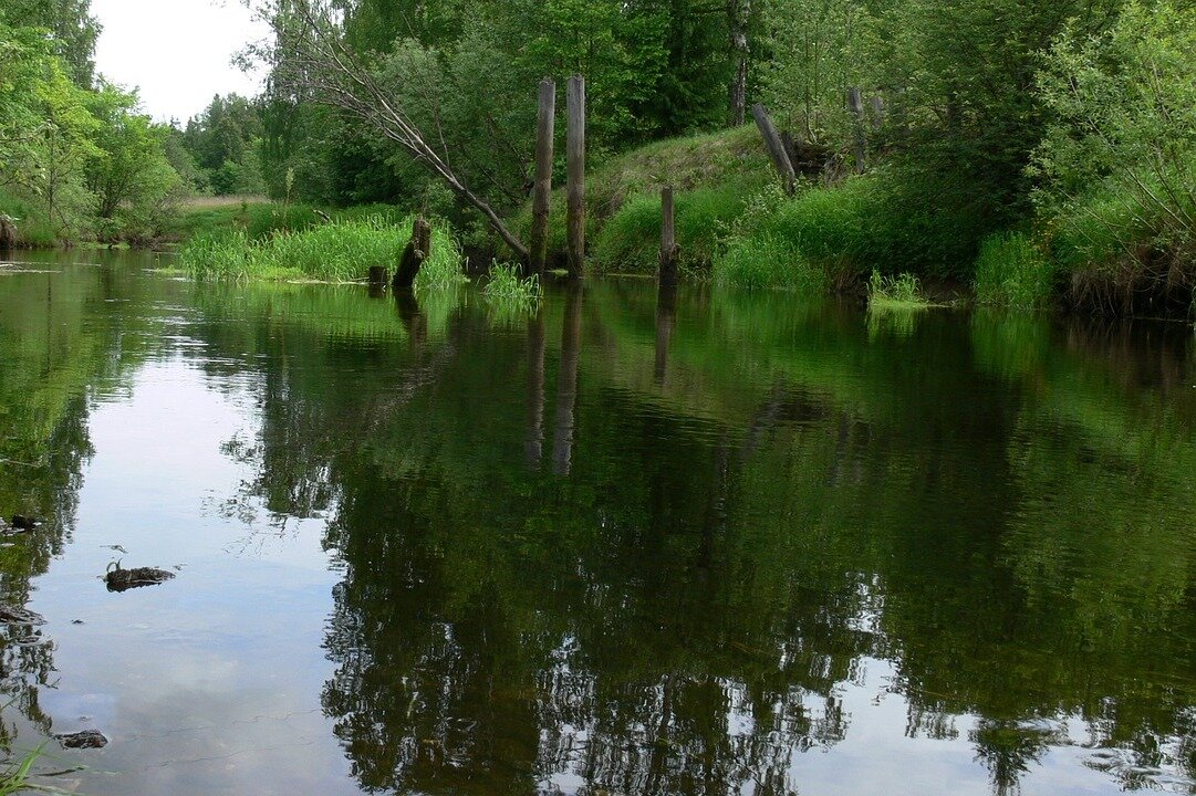 Река, https://pixabay.com
