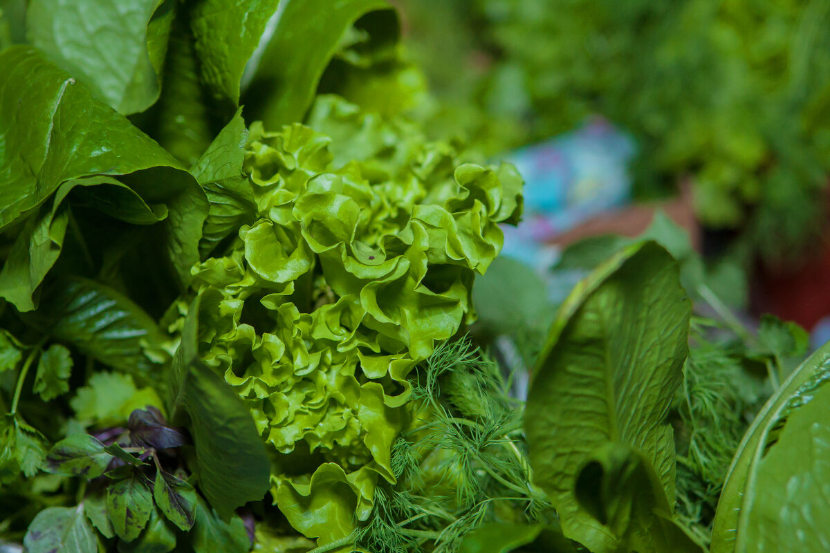 Просто немного здоровья вам в ленту)