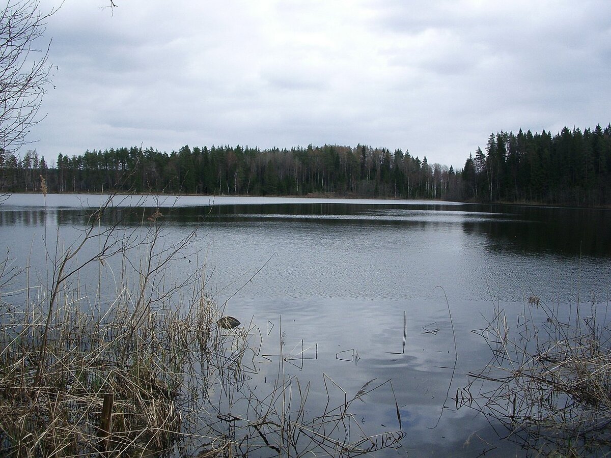 Озеро разлив Валдай