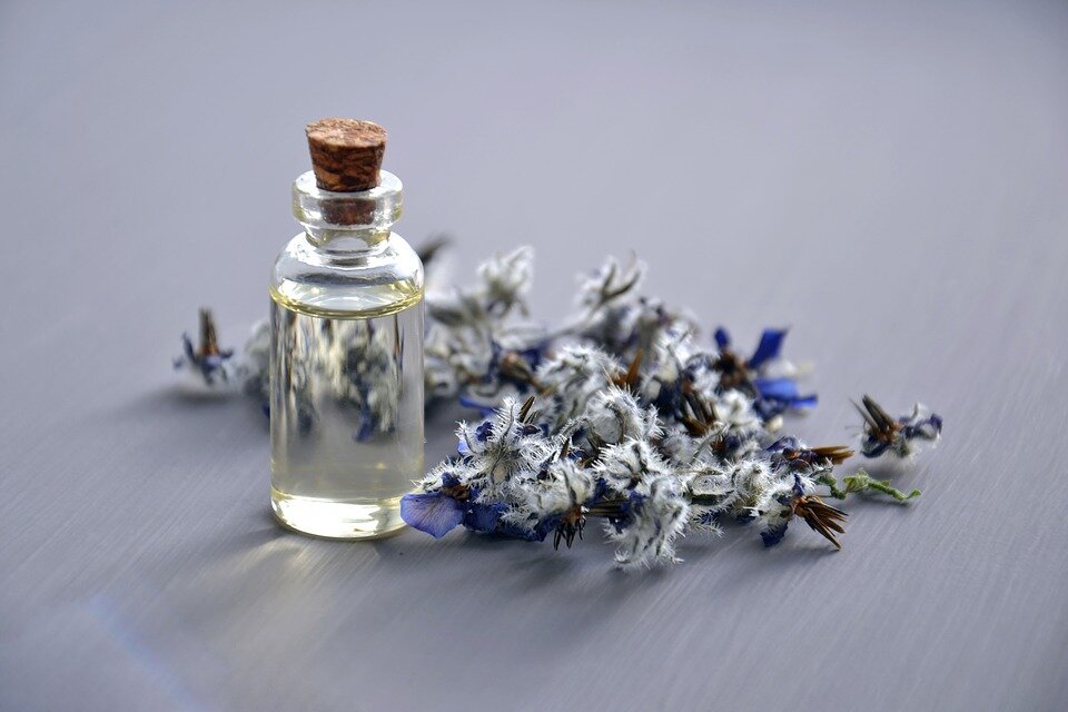 Источник фото: pixabay.com