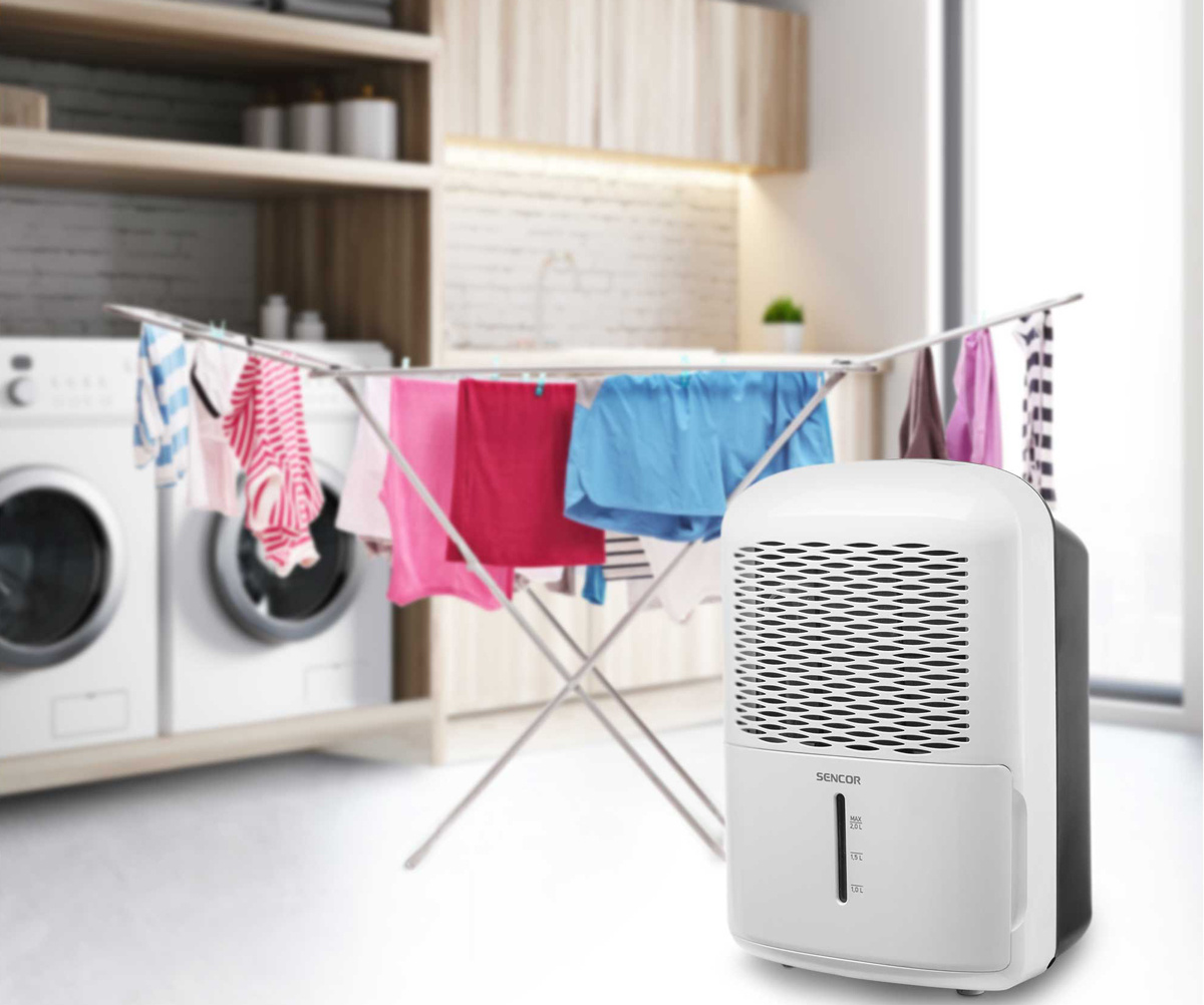 Осушитель убережет от плесени