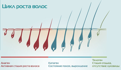 Технологии не стоят на месте. Это касается и индустрии красоты. Постоянно появляются  новые средства и методы по избавлению от нежелательных волос на теле.-2