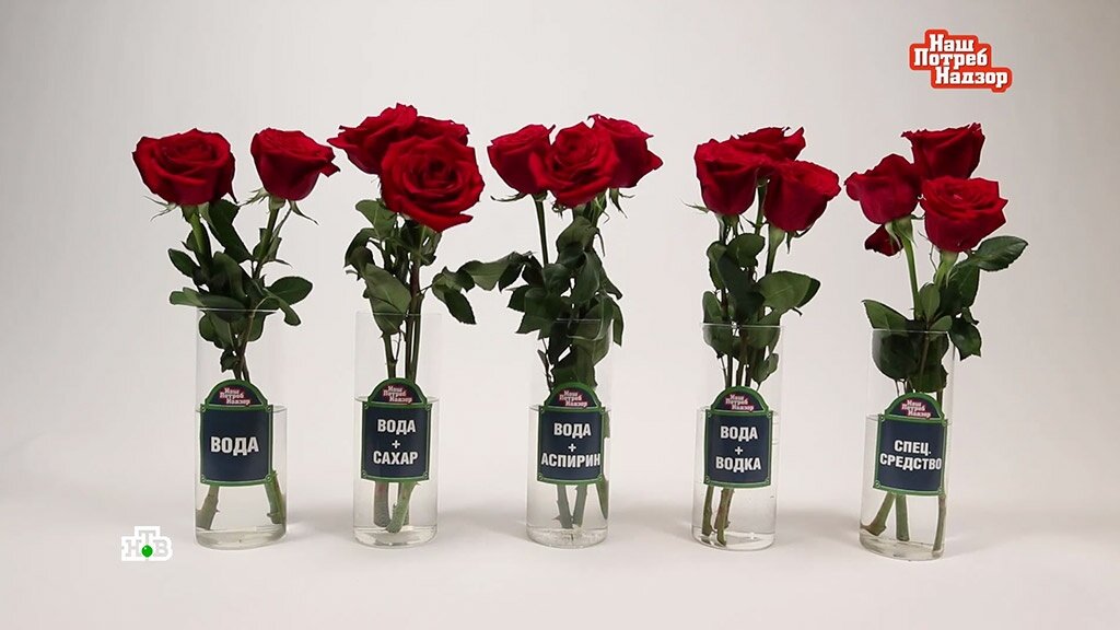 Чтобы букет роз долго простоял. Как продлить жизнь срезанным цветам. Как продлить жизнь букету. Как продлить жизнь букету роз. Чтобы розы дольше стояли в вазе.