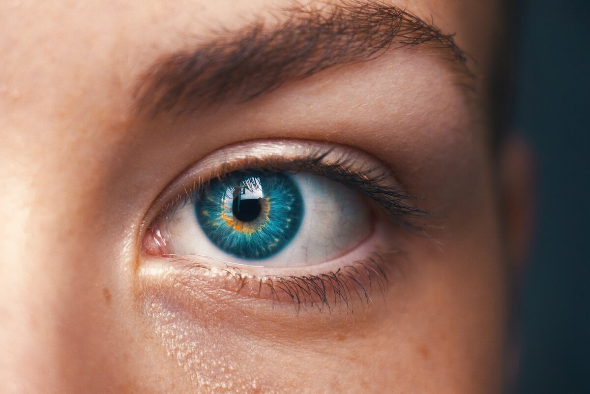 Источник фото: unsplash.com