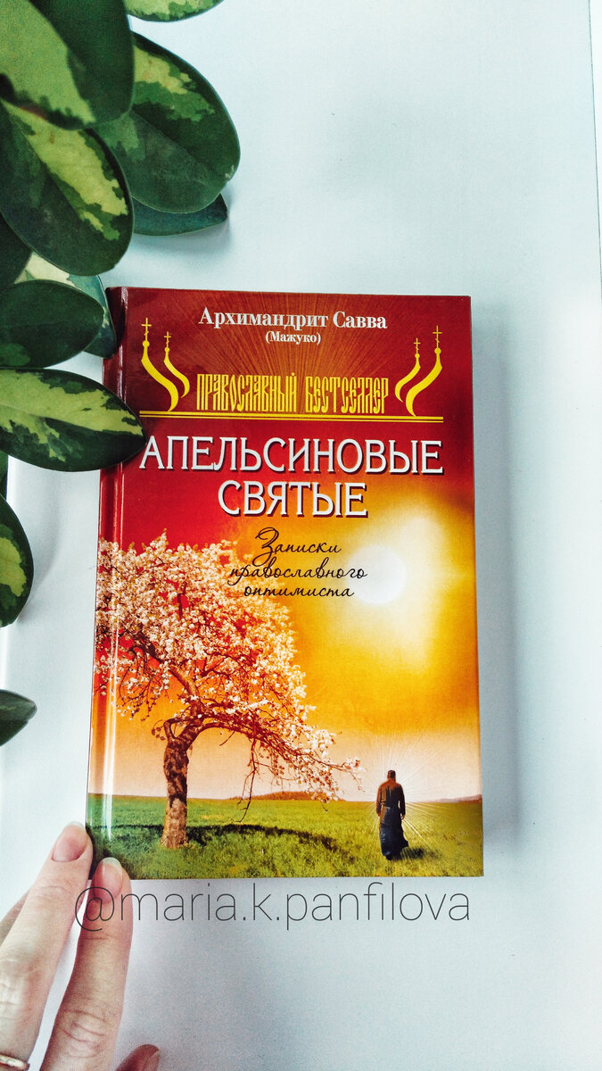 АПЕЛЬСИНОВЫЕ СВЯТЫЕ. Записки православного оптимиста. Архимандрит Савва Мажуко.