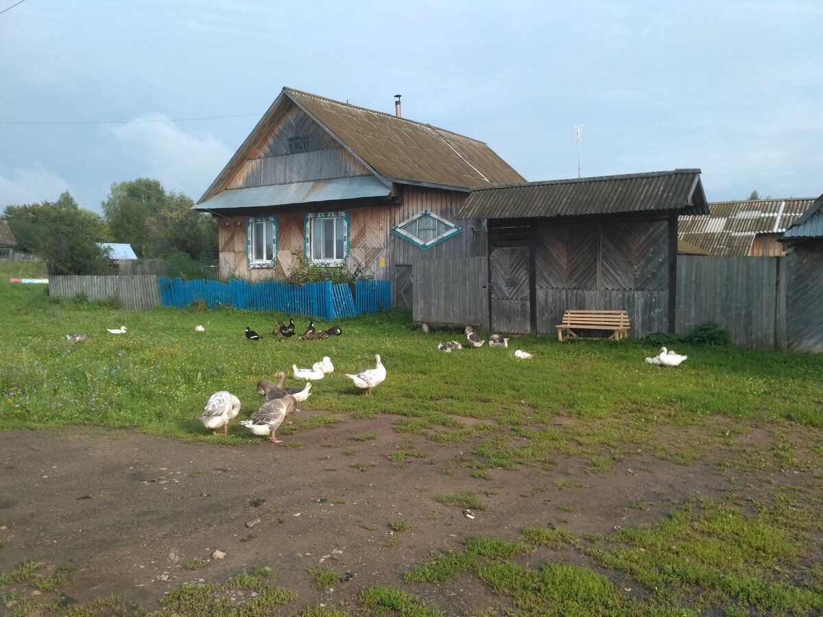 Деревенская родня. Деревенские в городе. Сельский вид. Город и деревня.