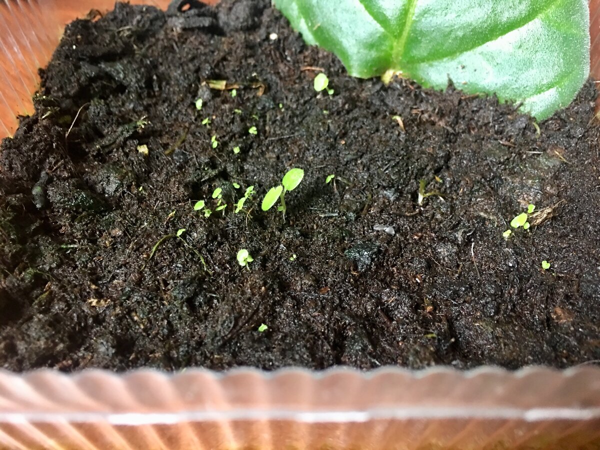 Их с каждым днём теперь всё больше :)