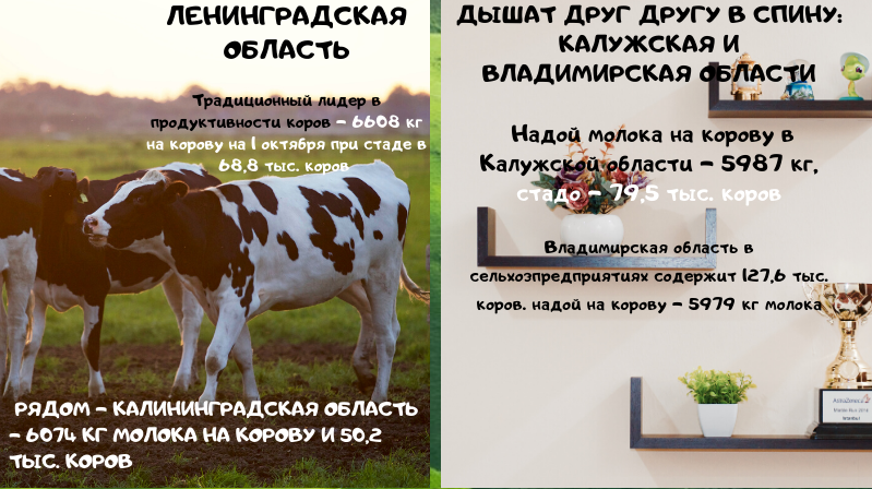 Автор: The DairyNews