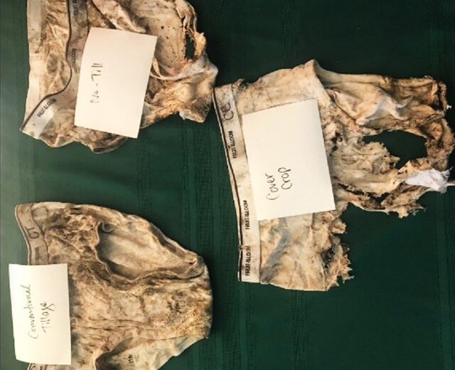 Фото агронома Тодда Штайнахера.