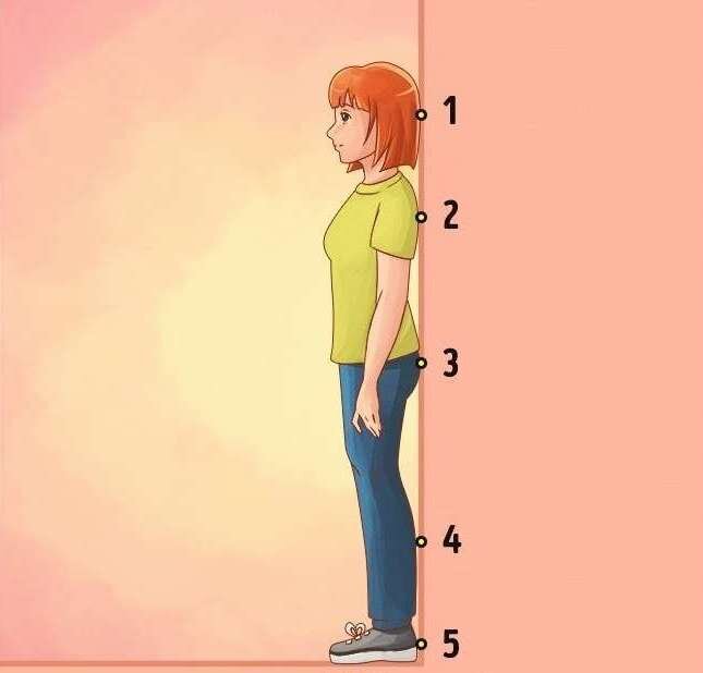 подойдите к стене (как на картинке)  и встаньте так, чтобы касаться ее в 5 точках.