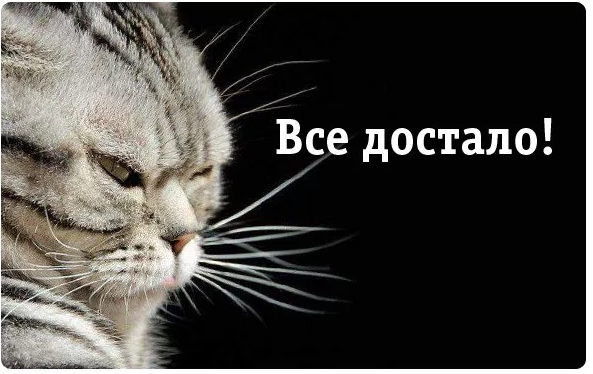 Когда и дома, и на работе — все «достали!» - 15 июля - спа-гармония.рф