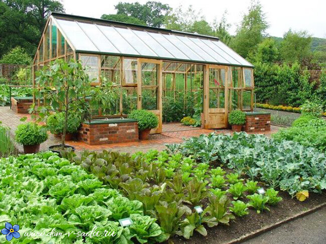 7 правил разумного планирования огорода, которые заставят ваш сад процветать