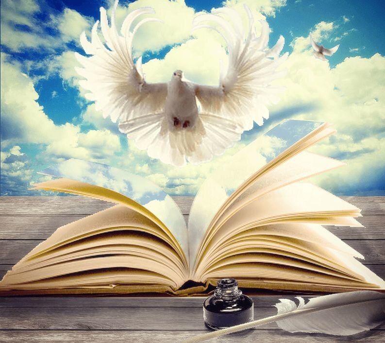 картинка из интернета