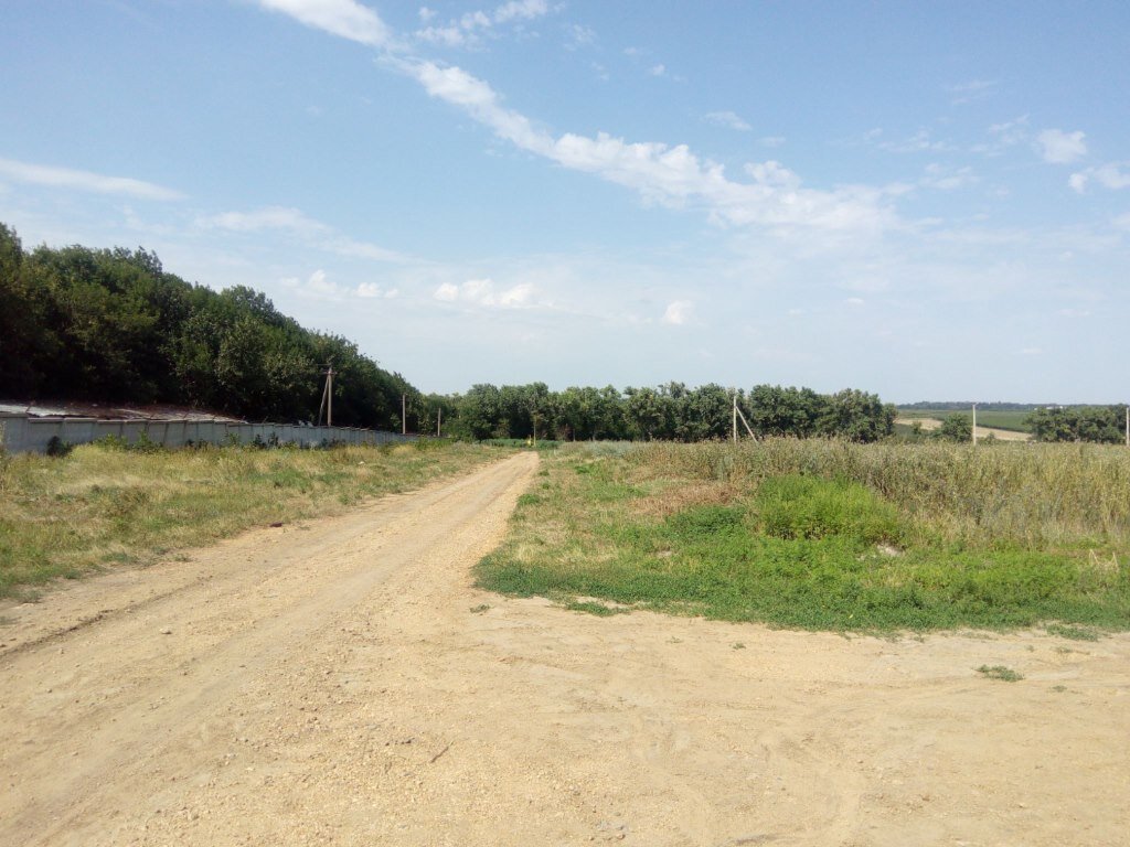 (фото взято с сайта https://dom.mirkvartir.ru)