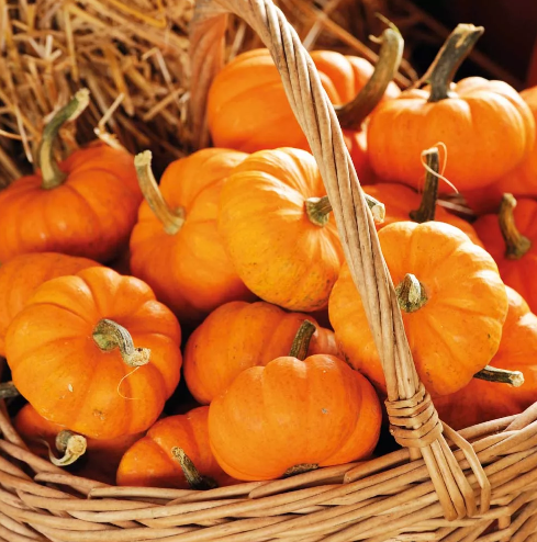 Фото из доступных источников.