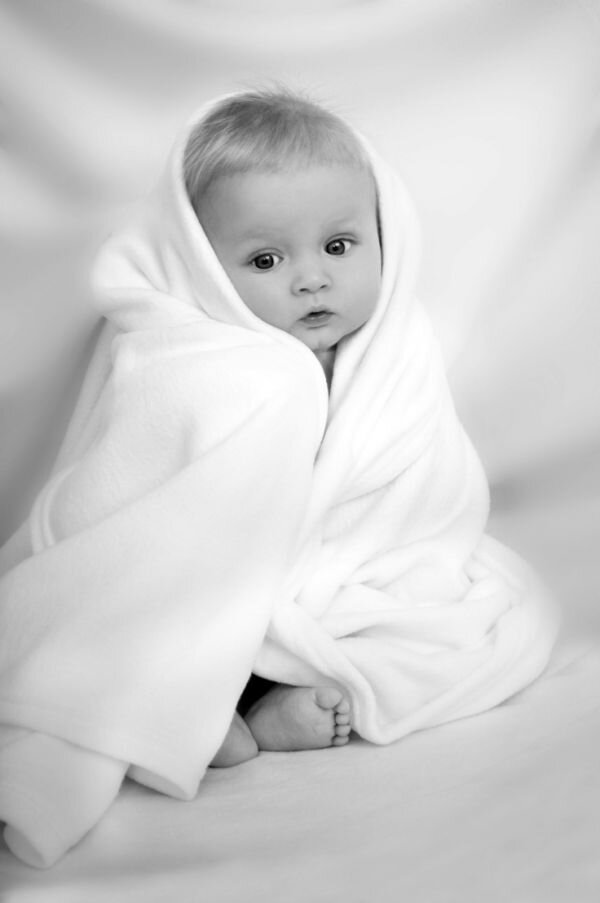 Фото из свободного источника