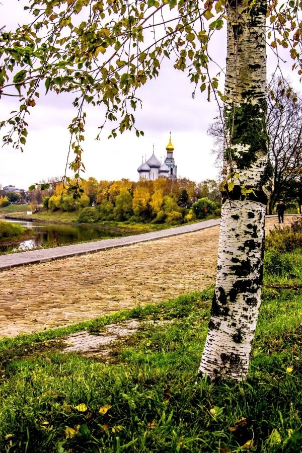 Фото яндекс