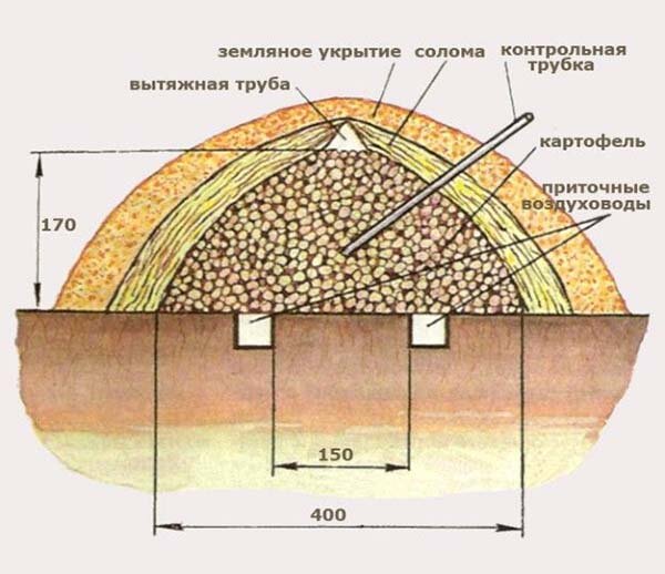 Как подготовить домашнее овощехранилище к зиме