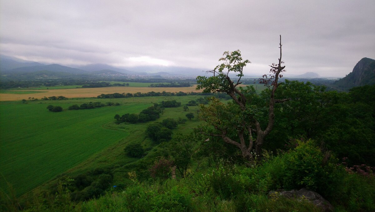 Приморский край, не далеко от Находки