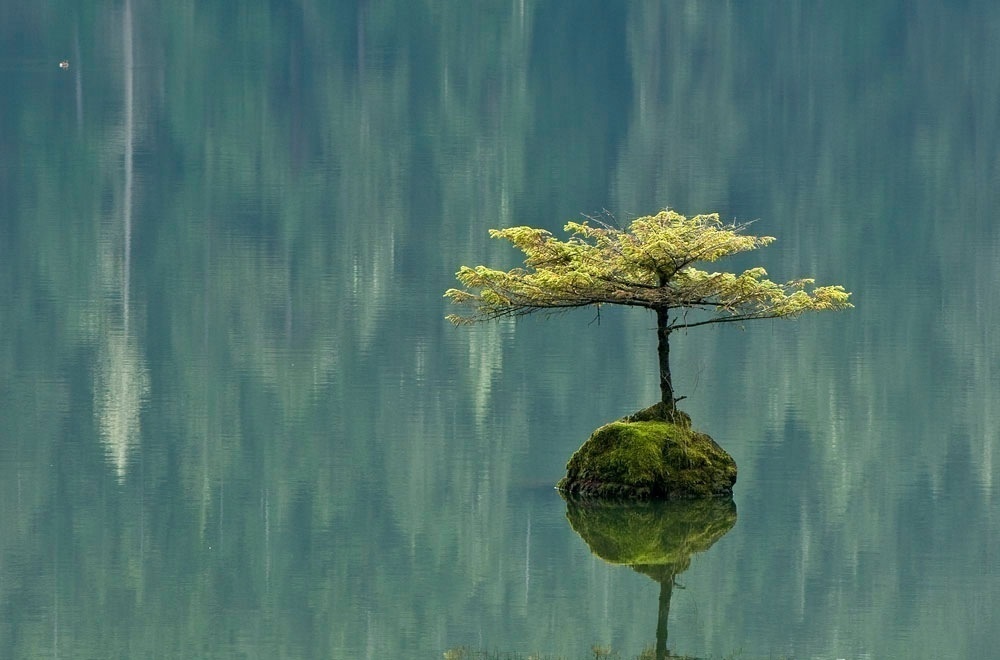 Не ленись, удели минуту...