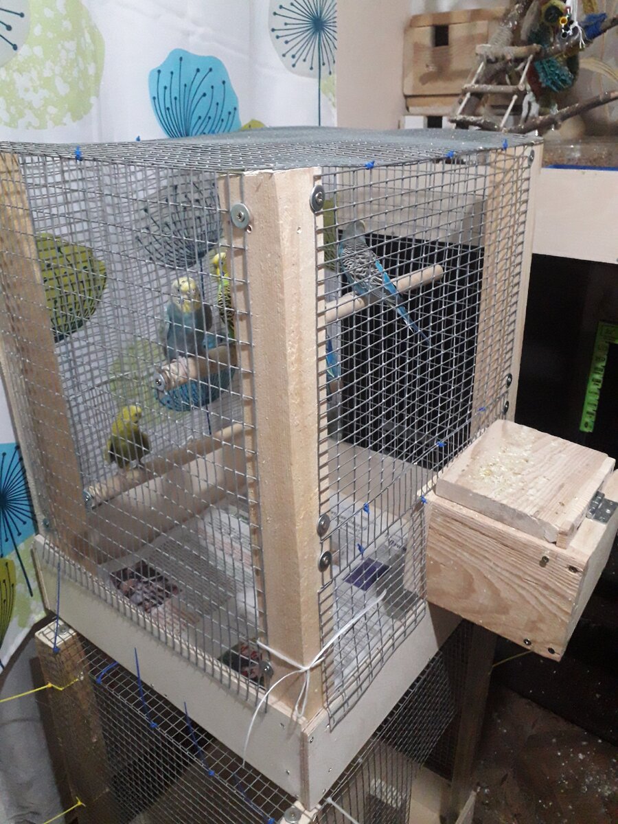 Размеры домика для волнистых попугаев для размножения