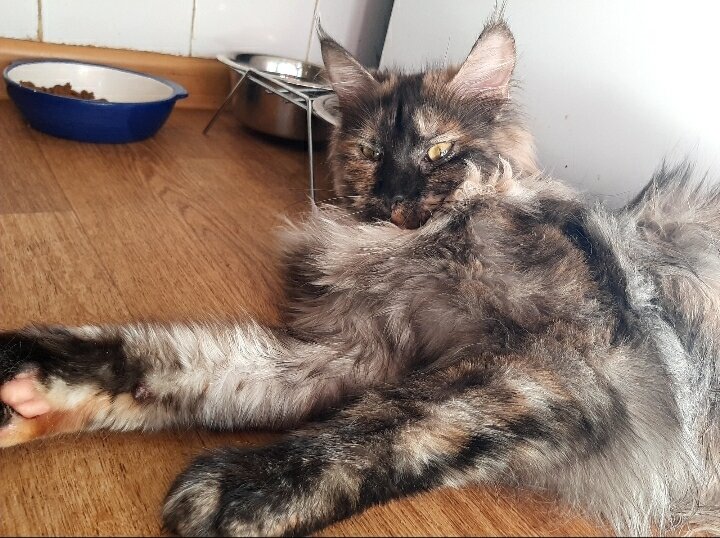 Фото автора.