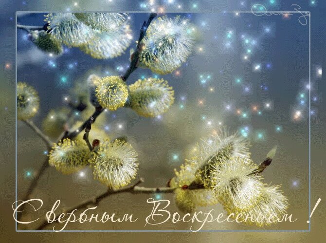 Источник: https://cliparti.jimdofree.com/главная/открытки-gif-анимация/вербы-анимация-12/