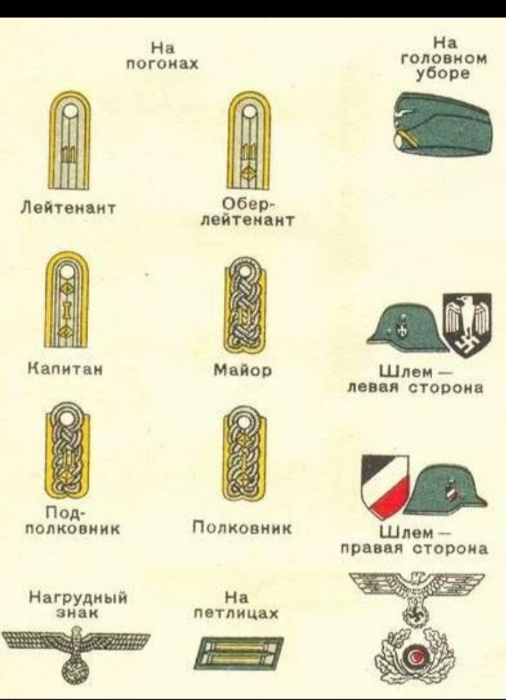 Три лычки на погонах звание в армии. Погоны и звания казаков россии. Звания в армии вермахта в 1941. Таблица званий вермахта и сс. Звания и знаки различия вермахта в 1941-1945 солдат и офицеров.