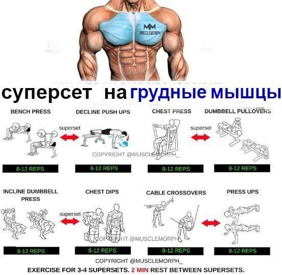 Спорт очень хорошо помогает избавиться от всех вредных привычек. (Жан Поль Бельмондо)