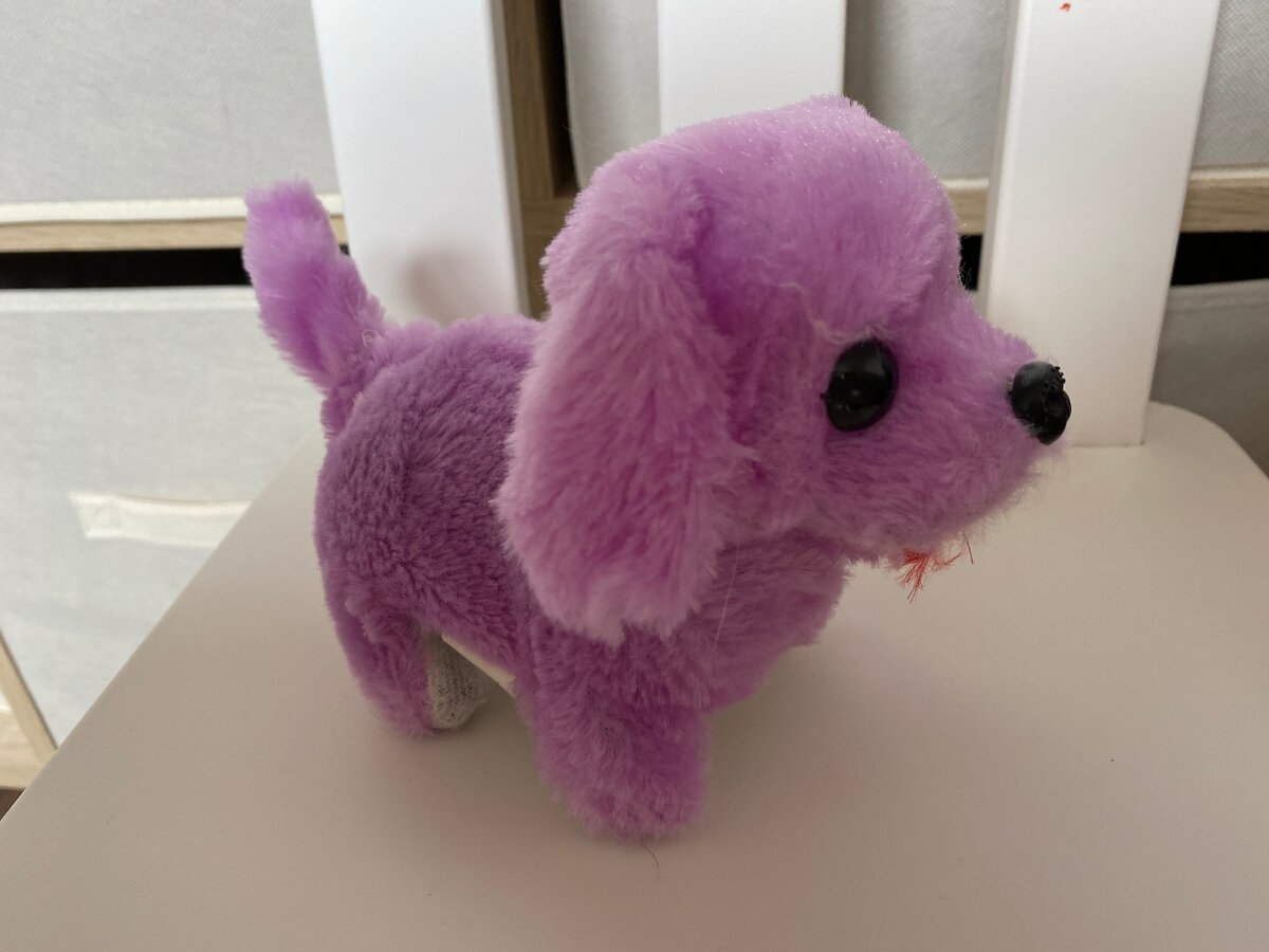 Бывает разных цветов. Фото из личного архива