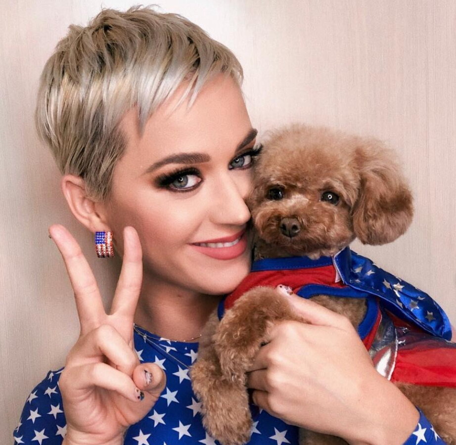 Кэти Перри. Фото - Instagram