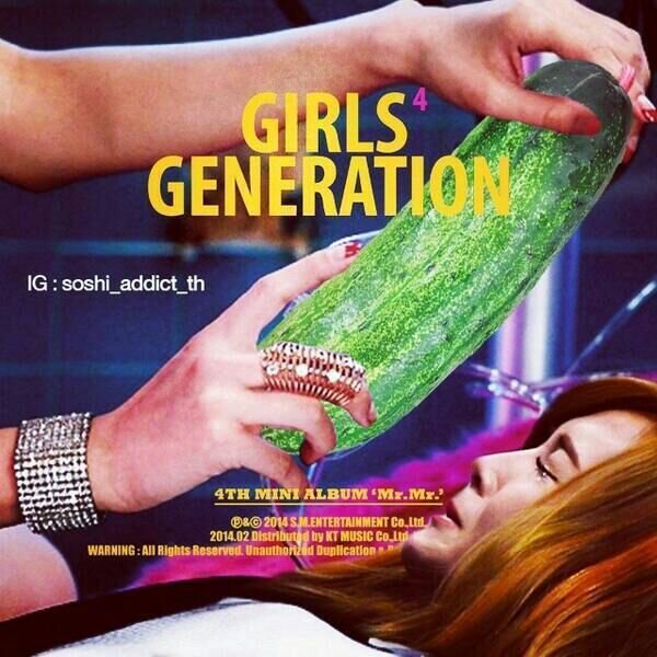 Альбом SNSD - Mr.Mr. огуречная версия. cr: soshi_addict_th