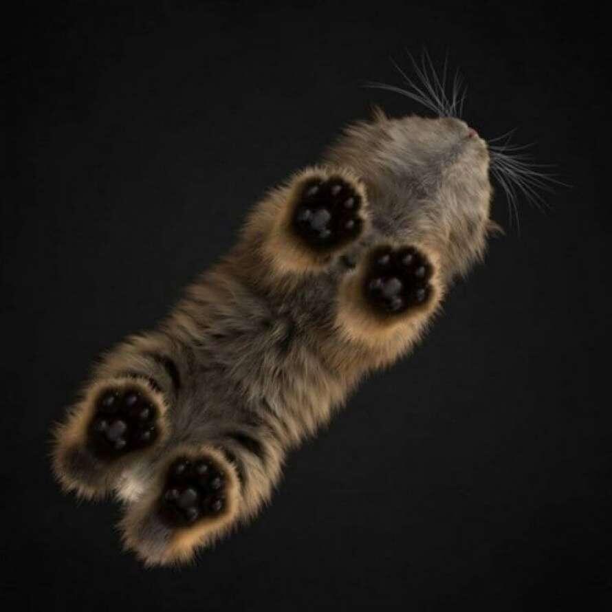 -2