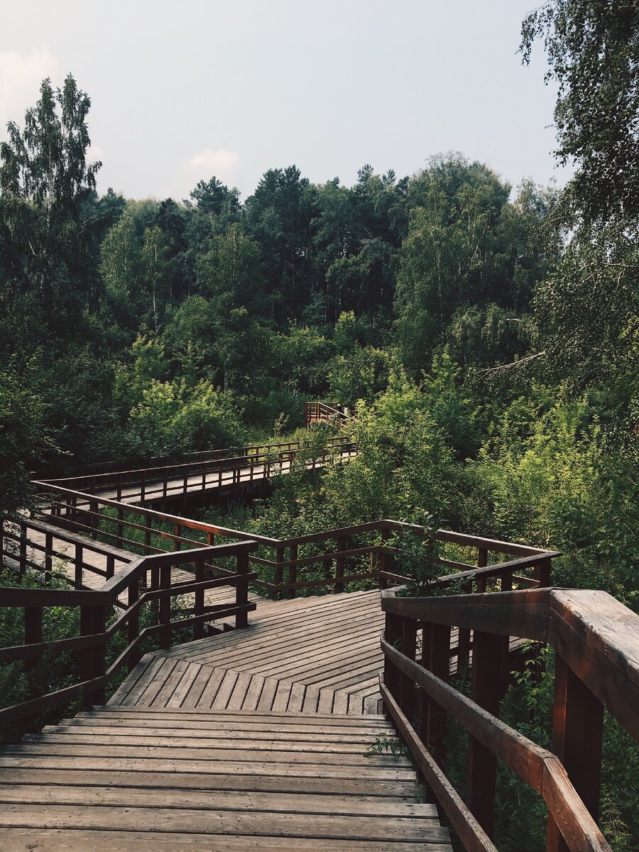 Фото авторства меня