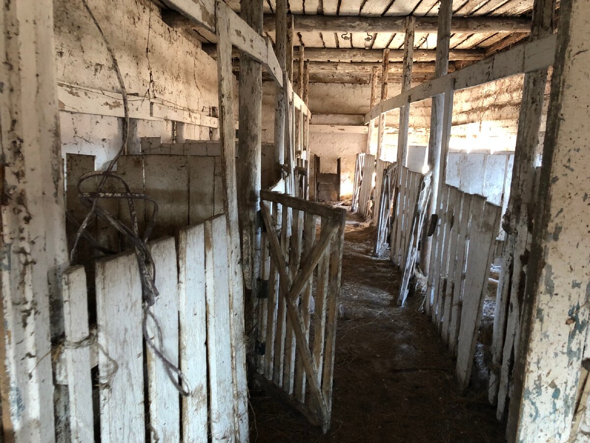 Фото «в дверь»