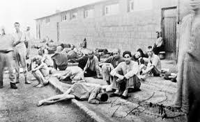 Фото из сети Google