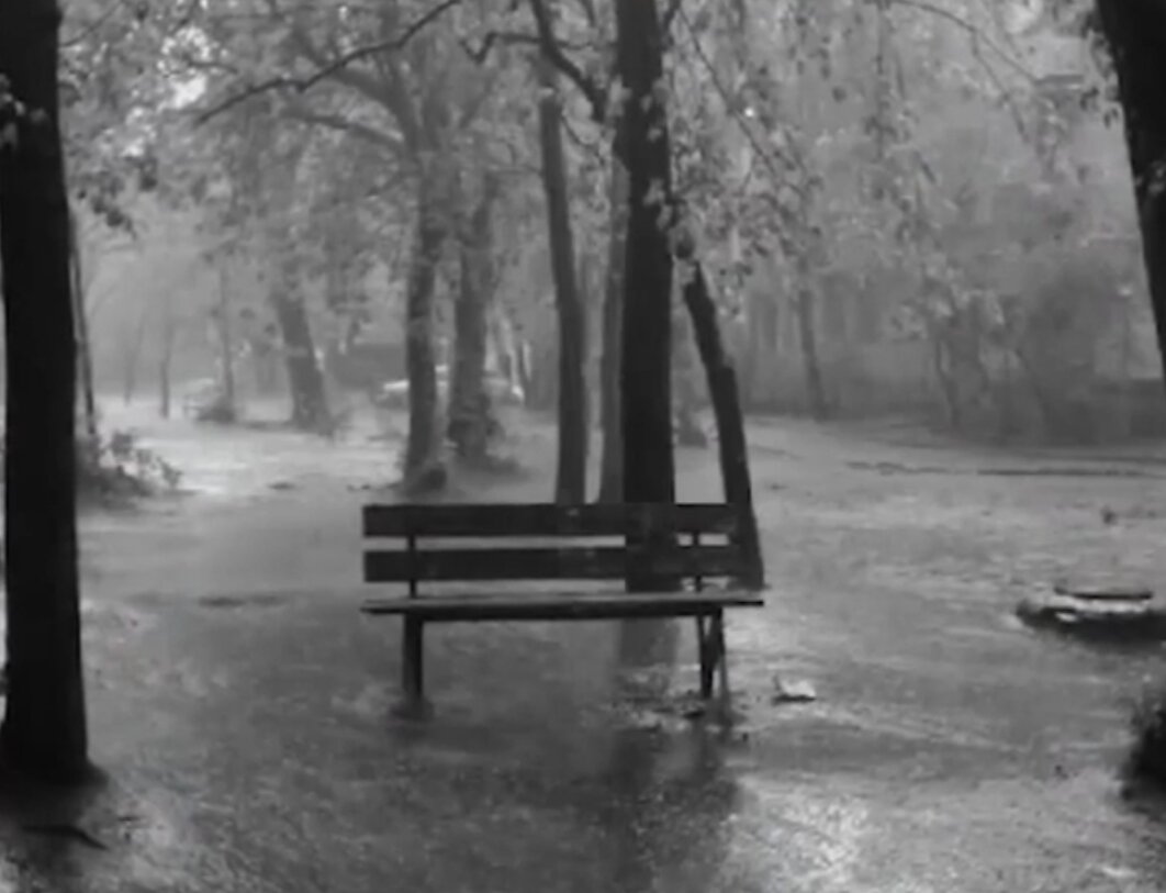 Личный архив 01.2020г