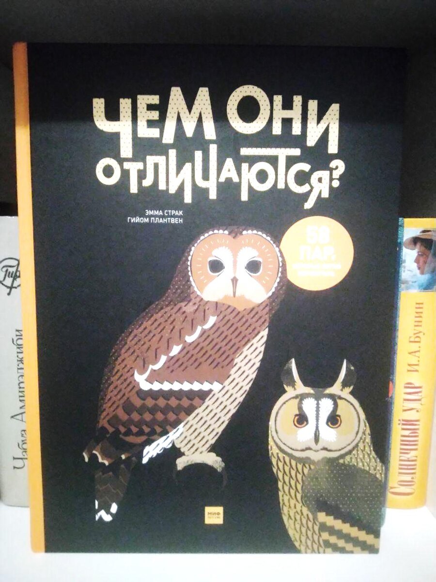 "Чем они отличаются?" от издательства МИФ