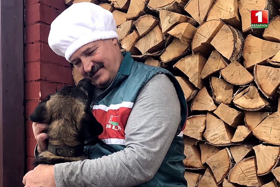 Фото из открытых источников