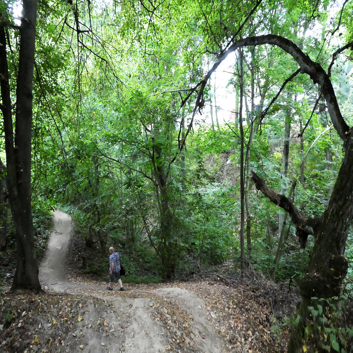 Камеры таруса. Почуевская Долина Таруса. Долина грез Таруса. Таруса город Долина грез. Долина грез Таруса на карте.
