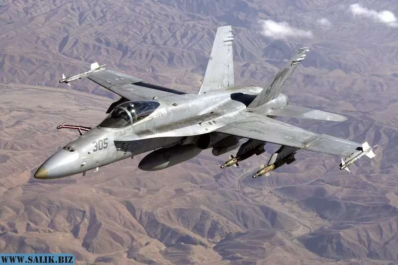 Штурмовик F/A-18 Hornet
