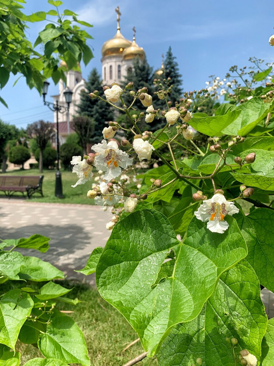 Дом божий и дом бомжа 