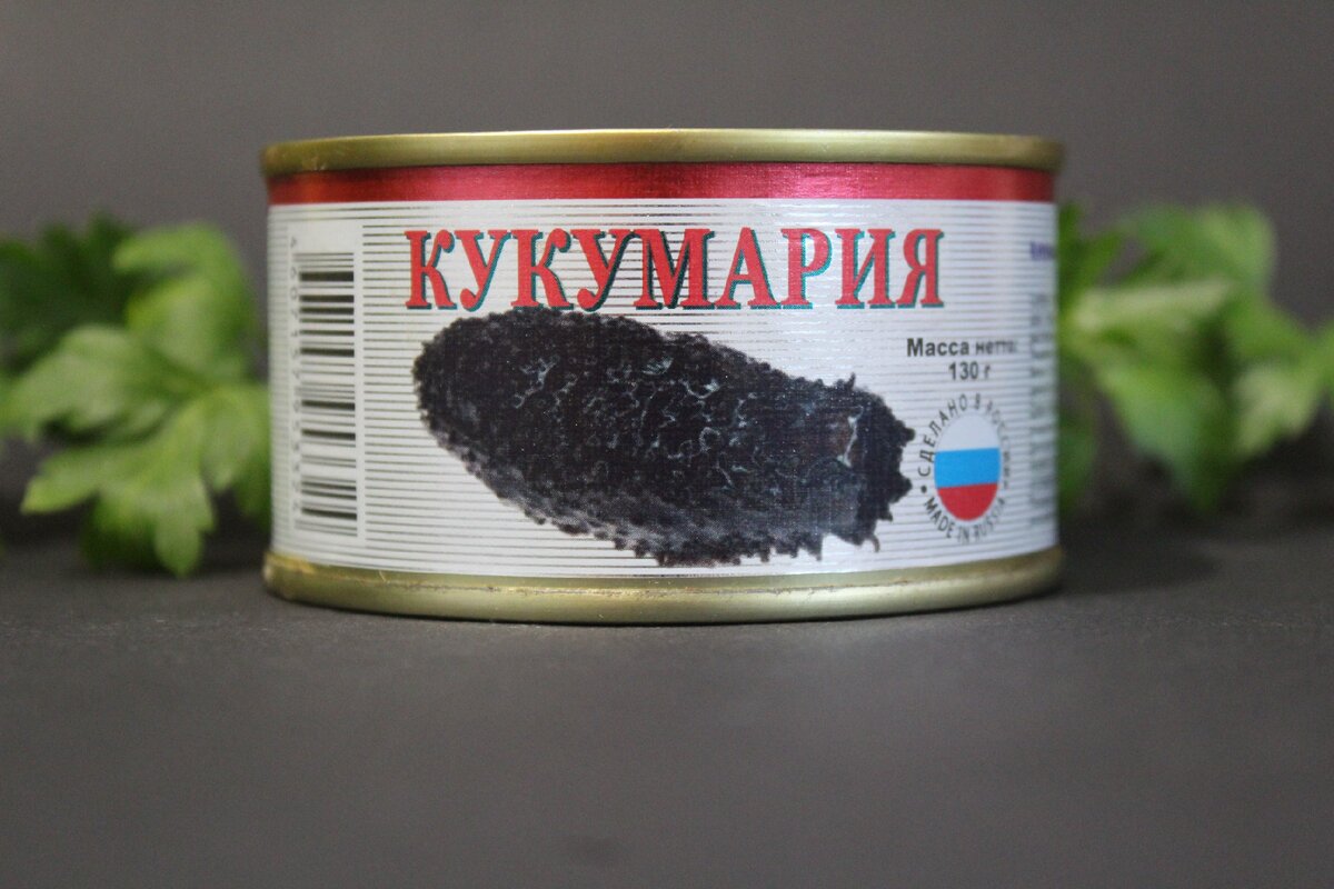 Кукумария что это такое фото