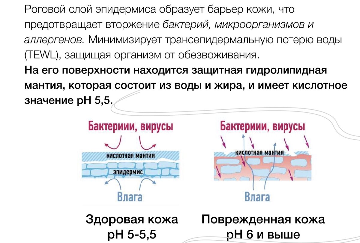 Источник: Яндекс.Картинки