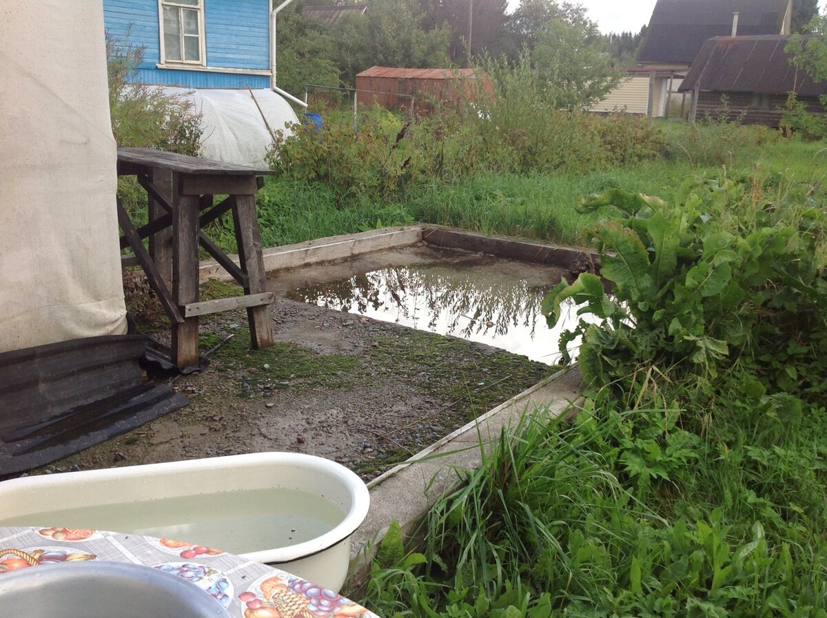 Старый фундамент и хрен после дождя. Фото автора