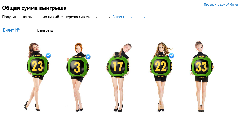 Проверка билета на сайте «Столото». Источник — «Яндекс.Картинки»