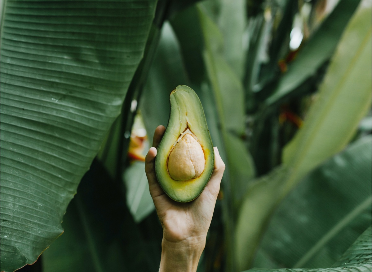 фото из свободных источников