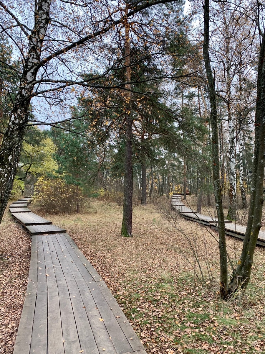 Психотравма-что за зверь? 